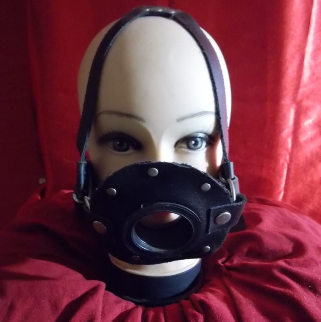 Open Mouth Gag with Head Harness Fetish Haven SA